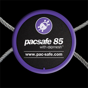 PacSafe 55