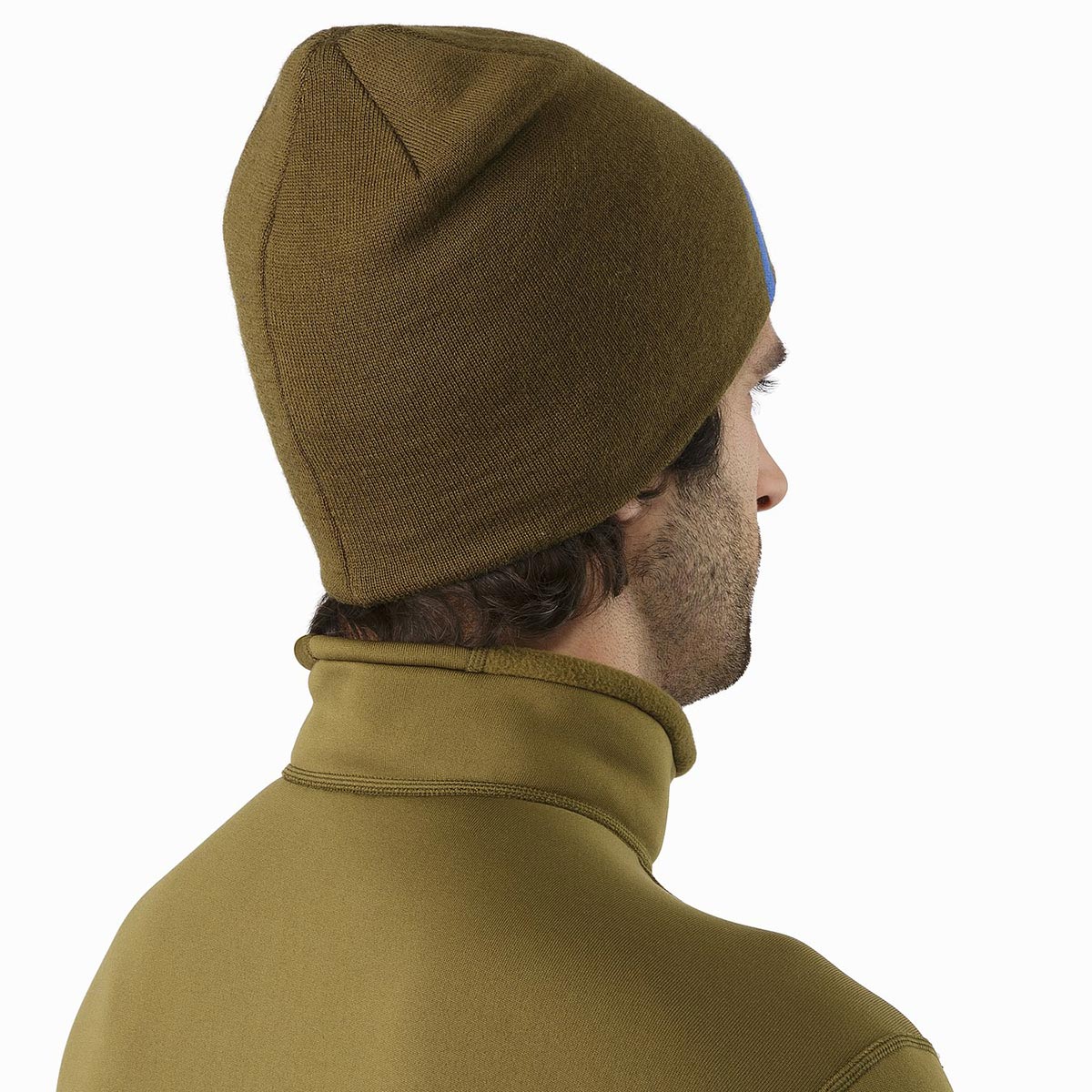 Arc'teryx Arc Mountain Toque :: Head gear :: Clothing Accessories