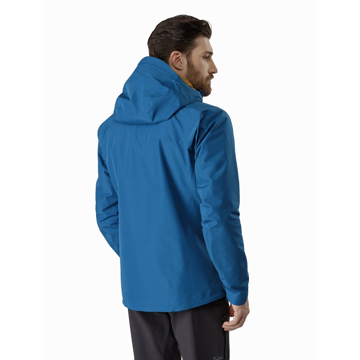 Arc'teryx Beta LT Jacket, men's, discontinued Spring 2020 model (free ...