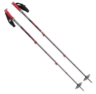 Expedition (2 poles)