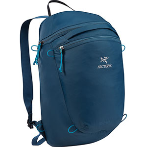 Index 15 Backpack, discontinued colors