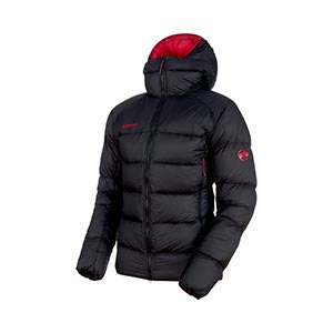 Mammut Meron IN Hooded Jacket, men's (free ground shipping ...