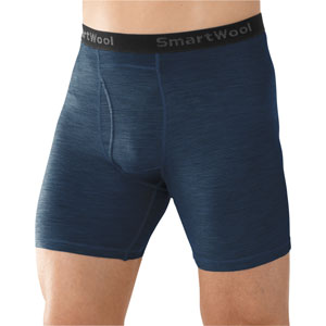 Microweight 150 Pattern Boxer Brief 